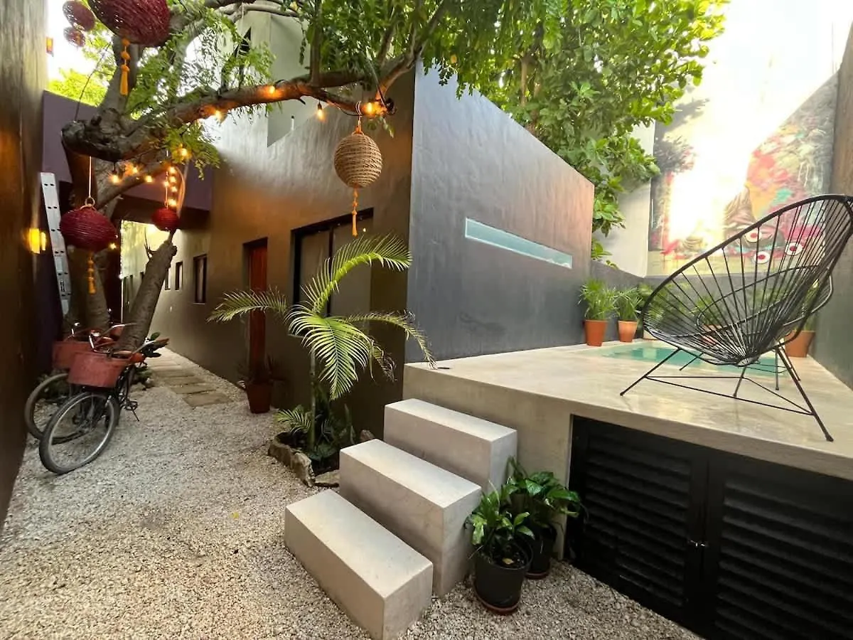Downtown Tulum Cozy 1Bd Apartment 0*,